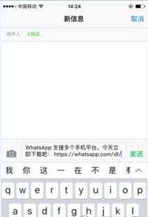 bm添加whatsapp,拓展全球沟通新渠道