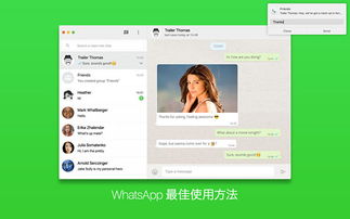 free downlo whatsapp,畅享即时通讯新体验