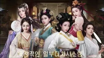 妻妾游戏,宫廷权谋与情感纠葛的华丽演绎