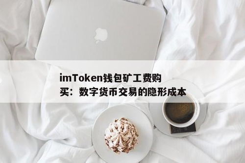imtoken如何支付矿工费,如何通过IMToken支付矿工费