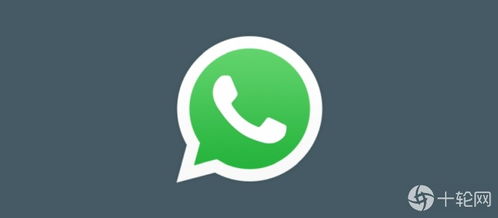 firstwingy whatsapp,创新通讯体验的全新篇章