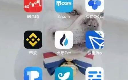 imtoken钱包kishu,imToken钱包中的创新功能解析