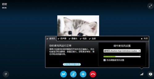 flyme skype无声音,Flyme系统Skype通话无声音问题解析与解决方法