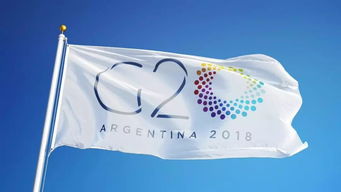 g20各国对加密货币的态度,G20各国加密货币态度差异与监管展望
