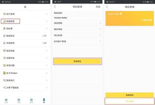 imtoken怎样导入助记词,如何使用imToken导入助记词