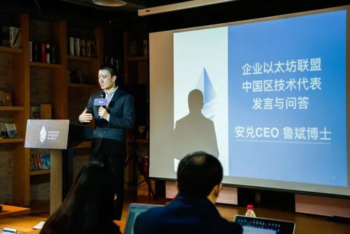 eea以太坊中国区,技术革新与市场前景分析