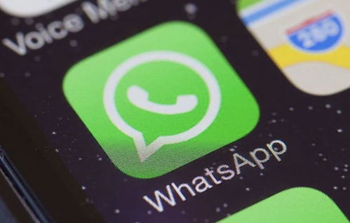 danload whatsapp,一键下载WhatsApp聊天记录的神奇工具