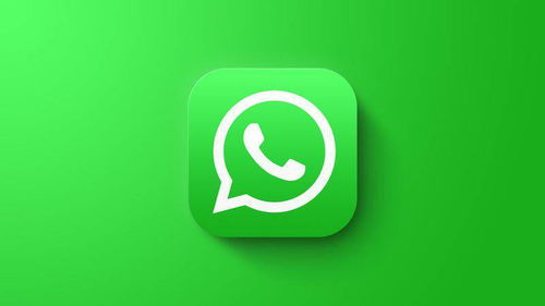 ios翻墙用whatsapp,iOS环境下利用WhatsApp实现翻墙的技巧解析