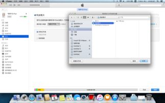 Iphone skype连接不上,iPhone Skype连接故障排查指南