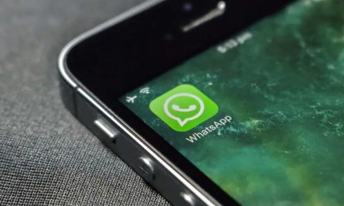 2021年2月whatsapp,2021年2月WhatsApp重大更新与用户增长概述