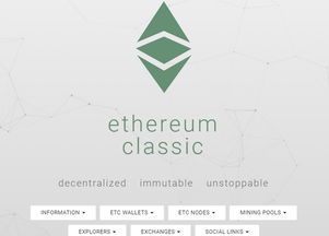 etc以太坊经典 项目,重塑去中心化金融的未来