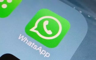 install the whatsapp,开启便捷沟通新体验