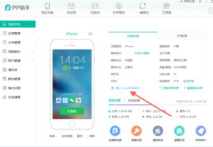 iphonex skype用不了,故障解析与解决方案