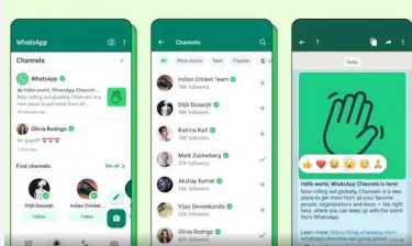 google play whatsapp,WhatsApp在Google Play上的全球影响力与用户体验解析