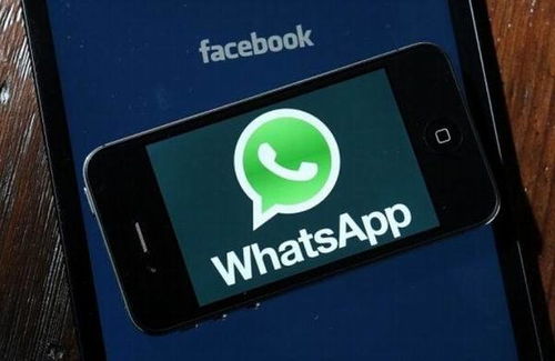 0098区号加whatsapp,探索0098区号下的WhatsApp社交新篇章
