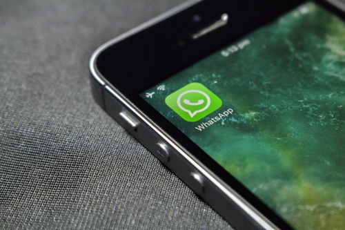 download yo whatsapp,解锁更多聊天功能