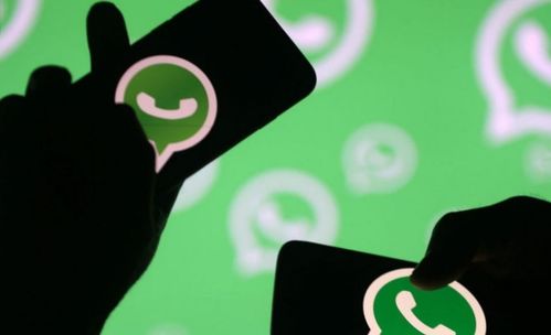 java版whatsapp,揭秘开源即时通讯应用的技术魅力