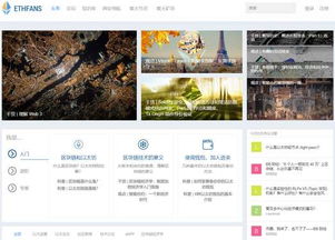 ethfans 以太坊爱好者,深度解析区块链技术的未来之星