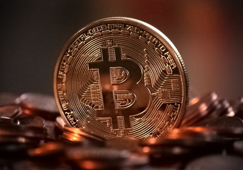 free加密货币,未来金融革命的先锋力量