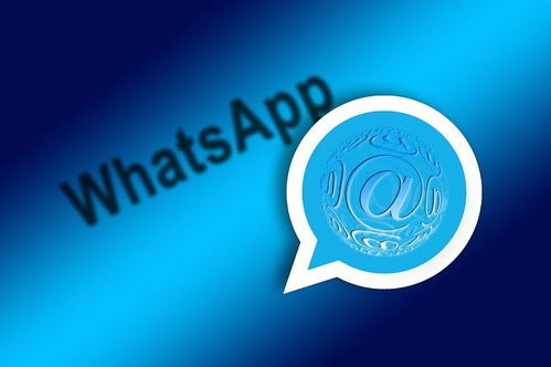 007系统whatsapp,揭秘WhatsApp背后的强大加密技术