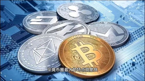 2022新发行加密货币,新势力崛起