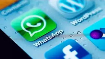 360软件 whatsapp,跨平台沟通新选择