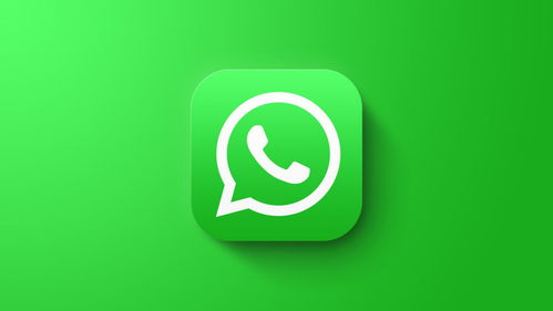 ipad为何没有WhatsApp,揭秘平板电脑与即时通讯的契合度之谜