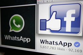 Facebook和whatsapp收购,从收购WhatsApp到构建全球通讯帝国