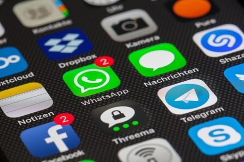gb whatsapp 2019,揭秘这款热门通讯应用的全新功能与亮点