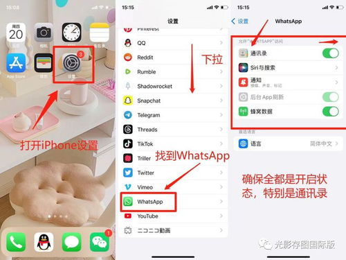 iPhone通讯录显示whatsapp,从iPhone通讯录解锁WhatsApp联系人概览