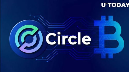 circle 加密货币,引领数字货币新潮流的金融创新力量