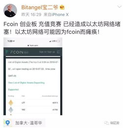 fcoin以太坊GAo,揭秘去中心化治理的先锋力量