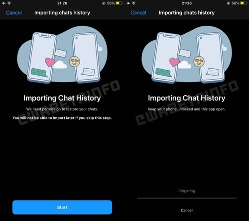 ios whatsapp聊天记录导出,亲友互动、生活点滴与信息交流集锦