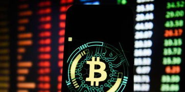 60亿加密货币,揭秘全球加密货币的无限可能
