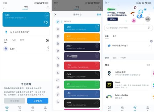 imtoken钱包私钥和助记词,揭秘IMToken钱包的加密之旅