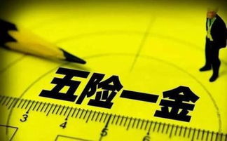 imtoken五险一金,五险一金福利解析与员工保障全览