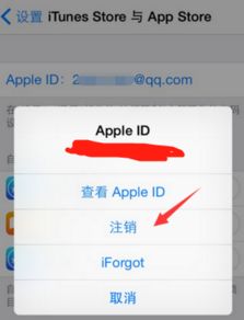 8plus store 没有skype,探索热门应用缺失之谜