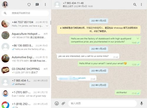 2019whatsapp国内使用方法,轻松畅享跨国沟通