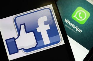 fb收购WhatsApp股价,股价飙升背后的故事与影响