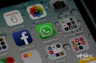 ios 使用whatsapp,探索iOS设备上WhatsApp的强大功能与便捷体验