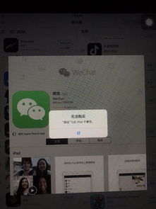 ipad安装不了skype怎么办,iPad无法安装Skype的解决方案与替代方法