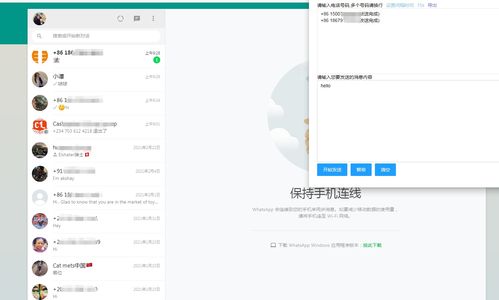 ins怎么分享whatsapp,一键生成与好友互动新方式