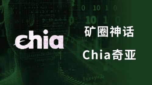 2021以太坊奇亚币,区块链技术的璀璨新星