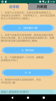 机场安全员模拟器 
