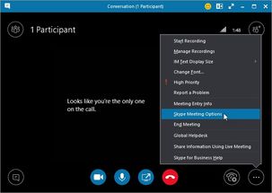 business skype 会议,高效商务Skype会议要点回顾与行动方案