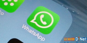 1.WhatsApp,全球即时通讯的领军者