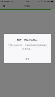 ios12 skype 打不开了,iOS 12系统下Skype应用无法打开的解决攻略