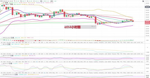 19年以太坊最高价格,回顾以太坊最高价格背后的辉煌历程
