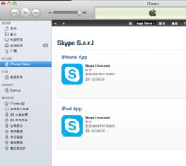 apple应用商店 skype,苹果应用商店必备通讯利器