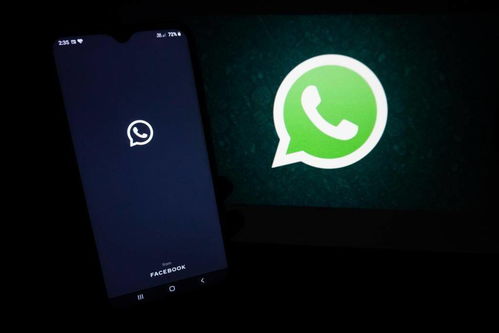 ios whatsapp 信息延迟,原因与解决方案全解析